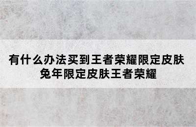 有什么办法买到王者荣耀限定皮肤 兔年限定皮肤王者荣耀